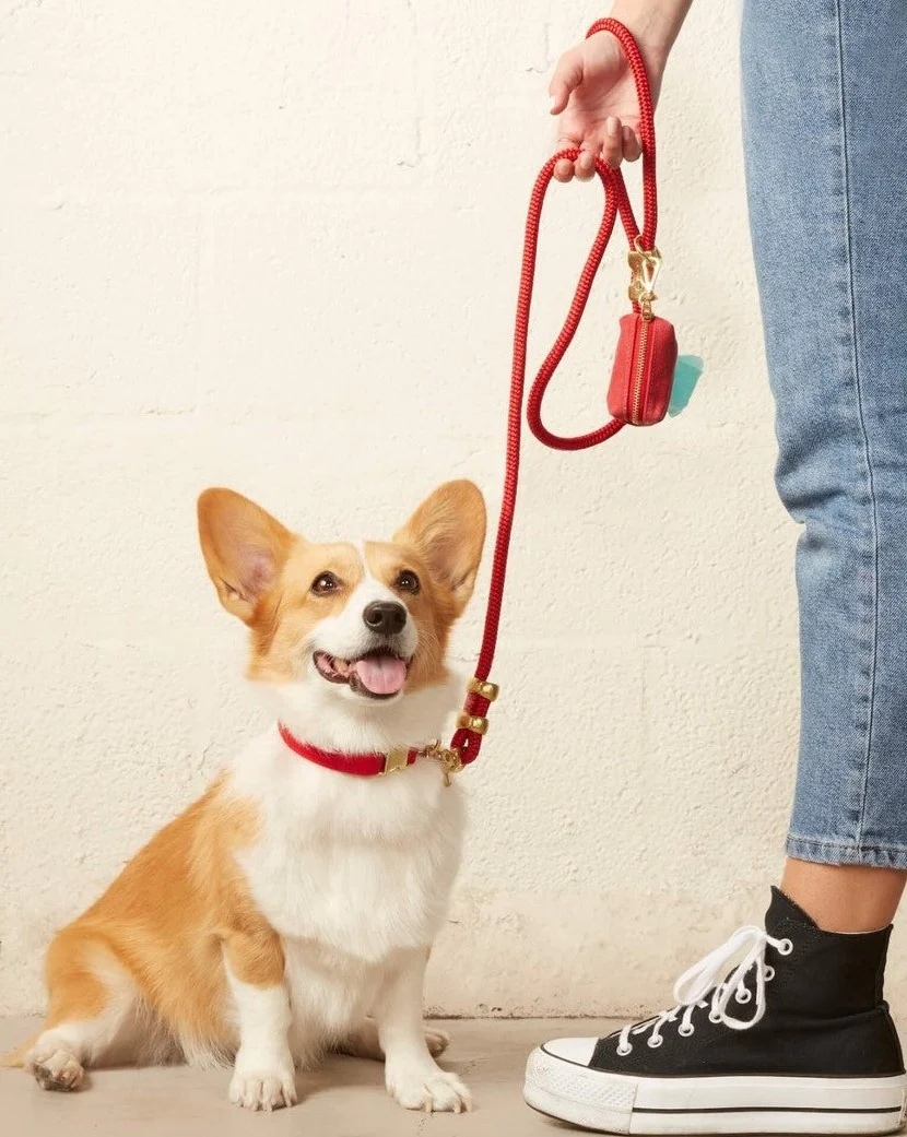 The Foggy Dog Ruby Marine Rope Dog Leash - Image 4