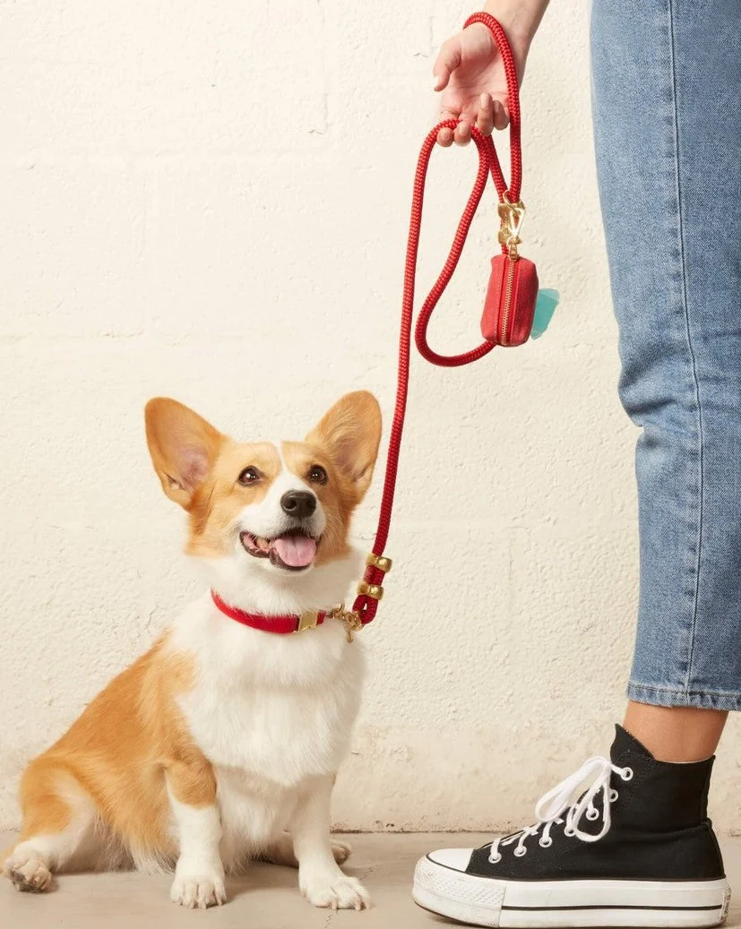 Foggy Dog Waste Bag Holder in Ruby - Image 5
