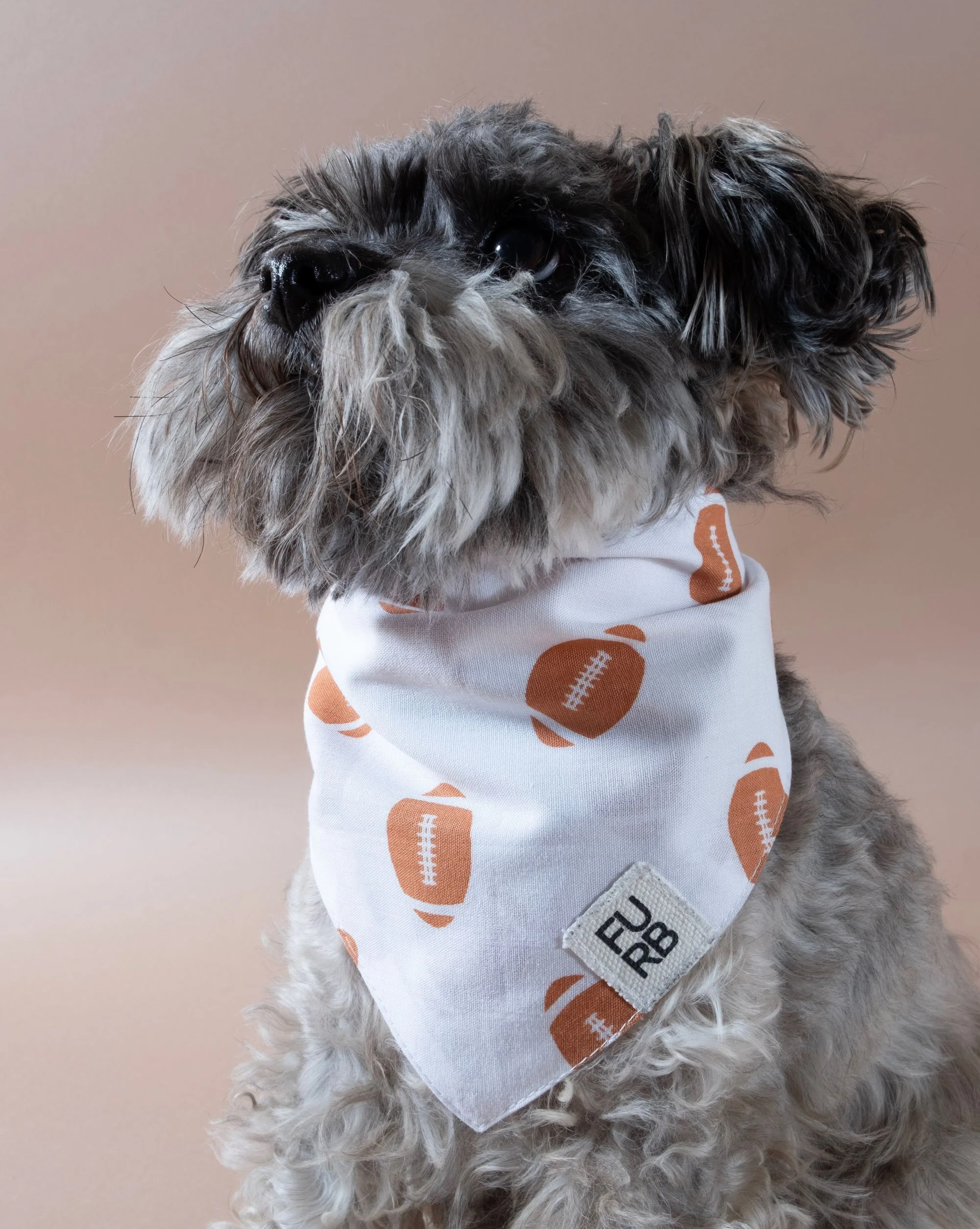 Little Champion Football Dog Bandana - Image 2