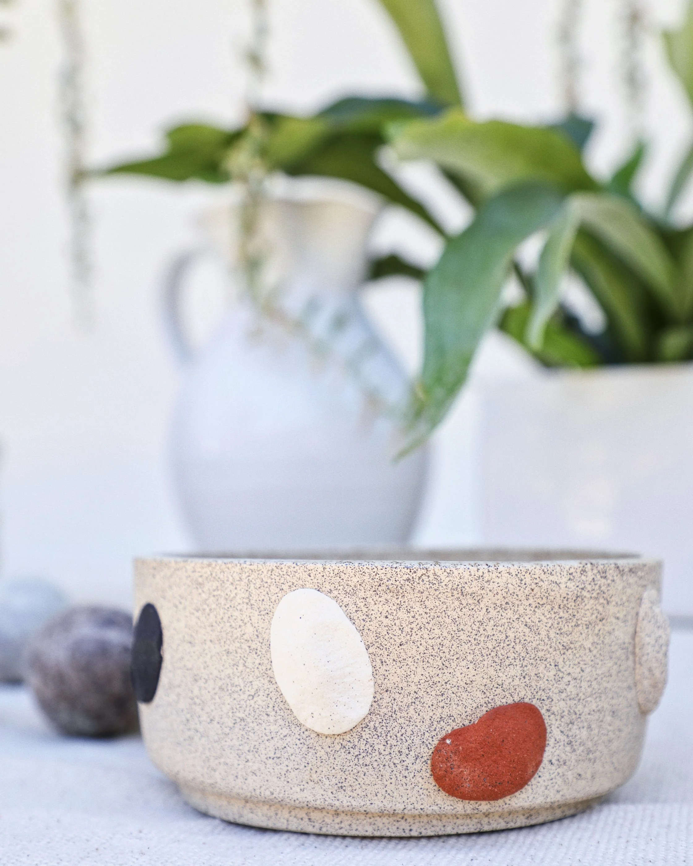 Laurel Canyon Stone Handmade Dog Bowl
