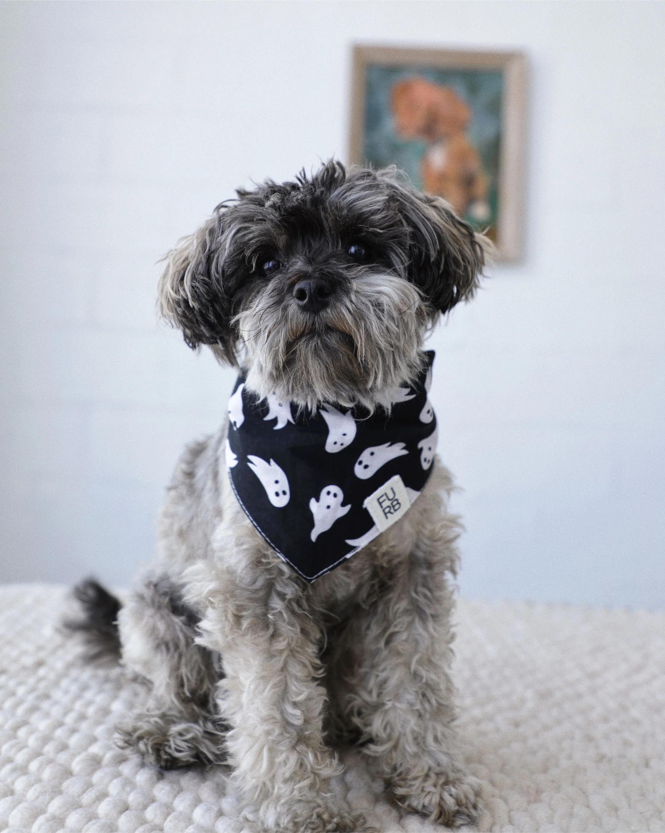 Happy Haunts Ghost Bandana - Image 2