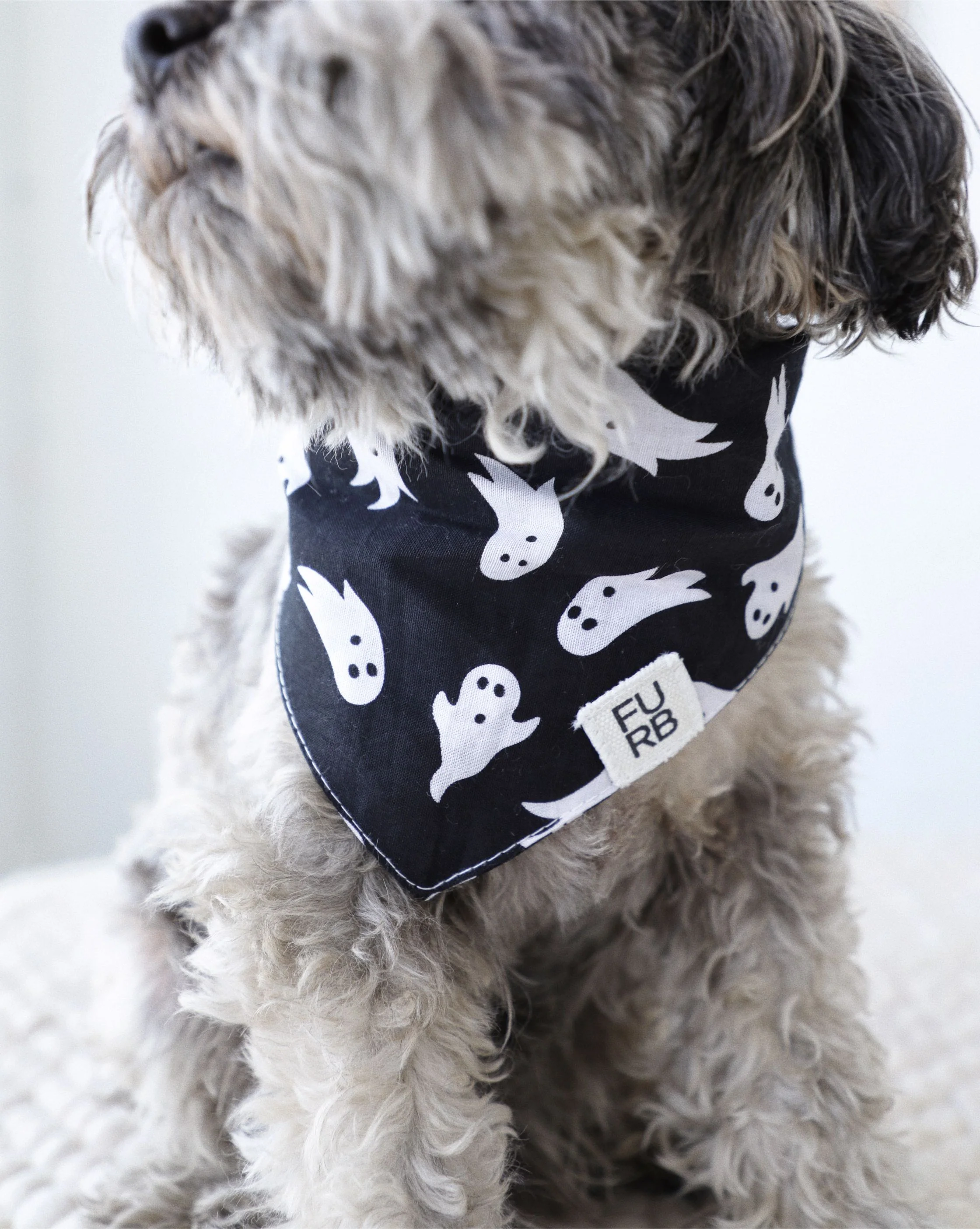 Happy Haunts Ghost Bandana - Image 4