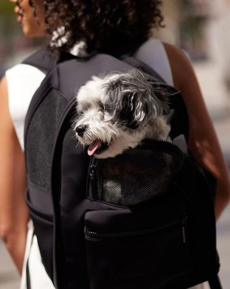Go Everywhere Backpack Carrier For Dogs