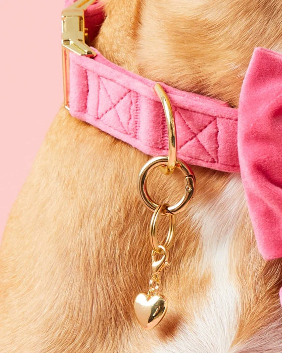 Gold Heart Collar Charm - Image 2