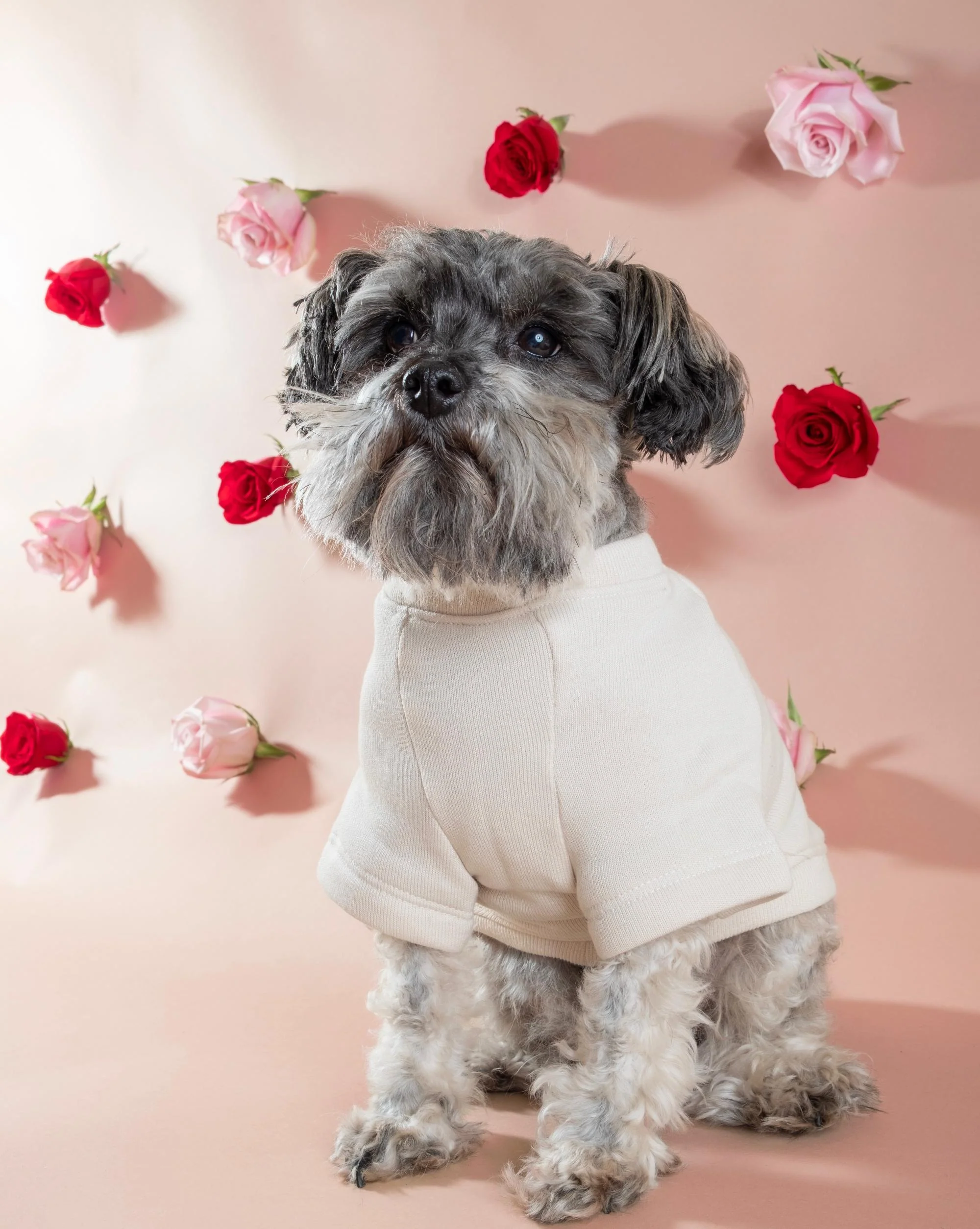 Fur Babe Dog Sweatshirt - Image 3