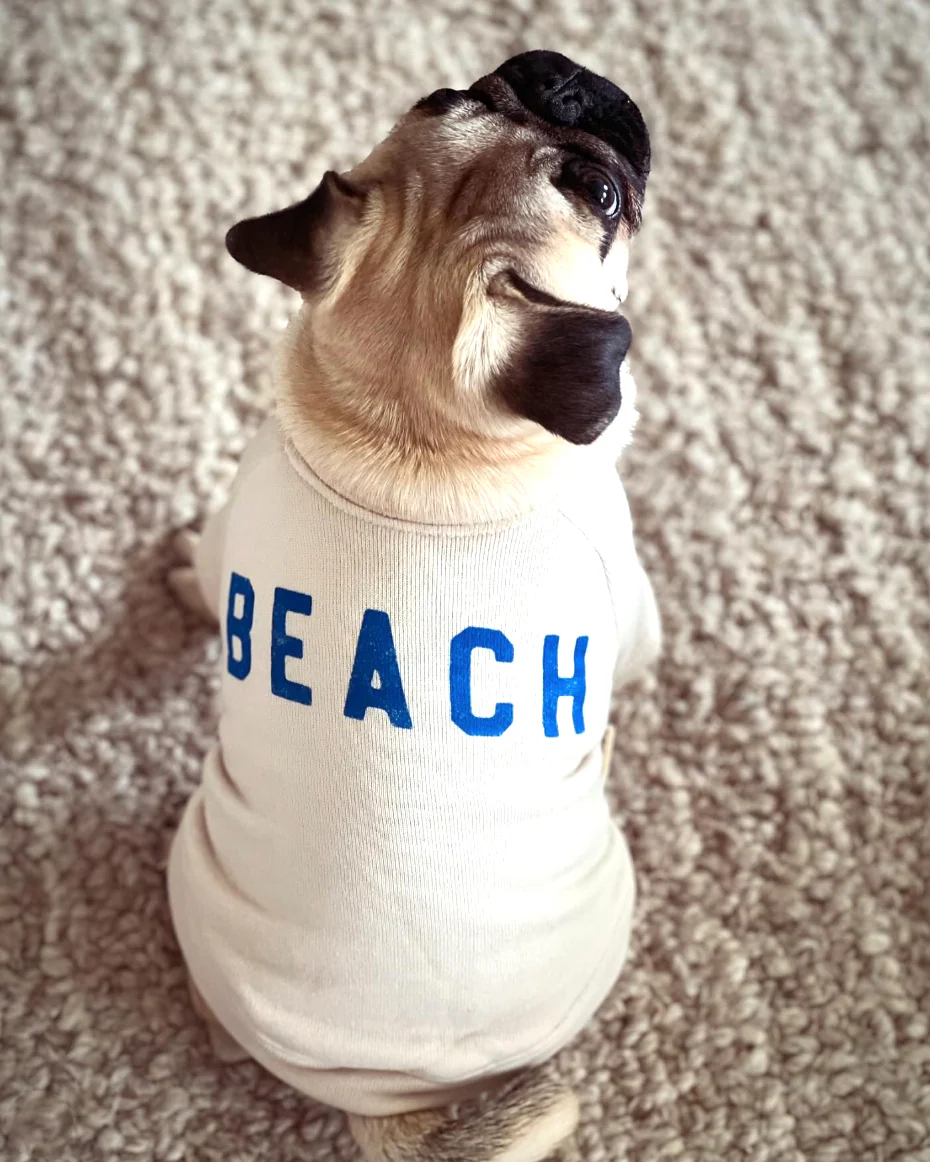 Beach Baby Dog Sweatshirt - Image 5