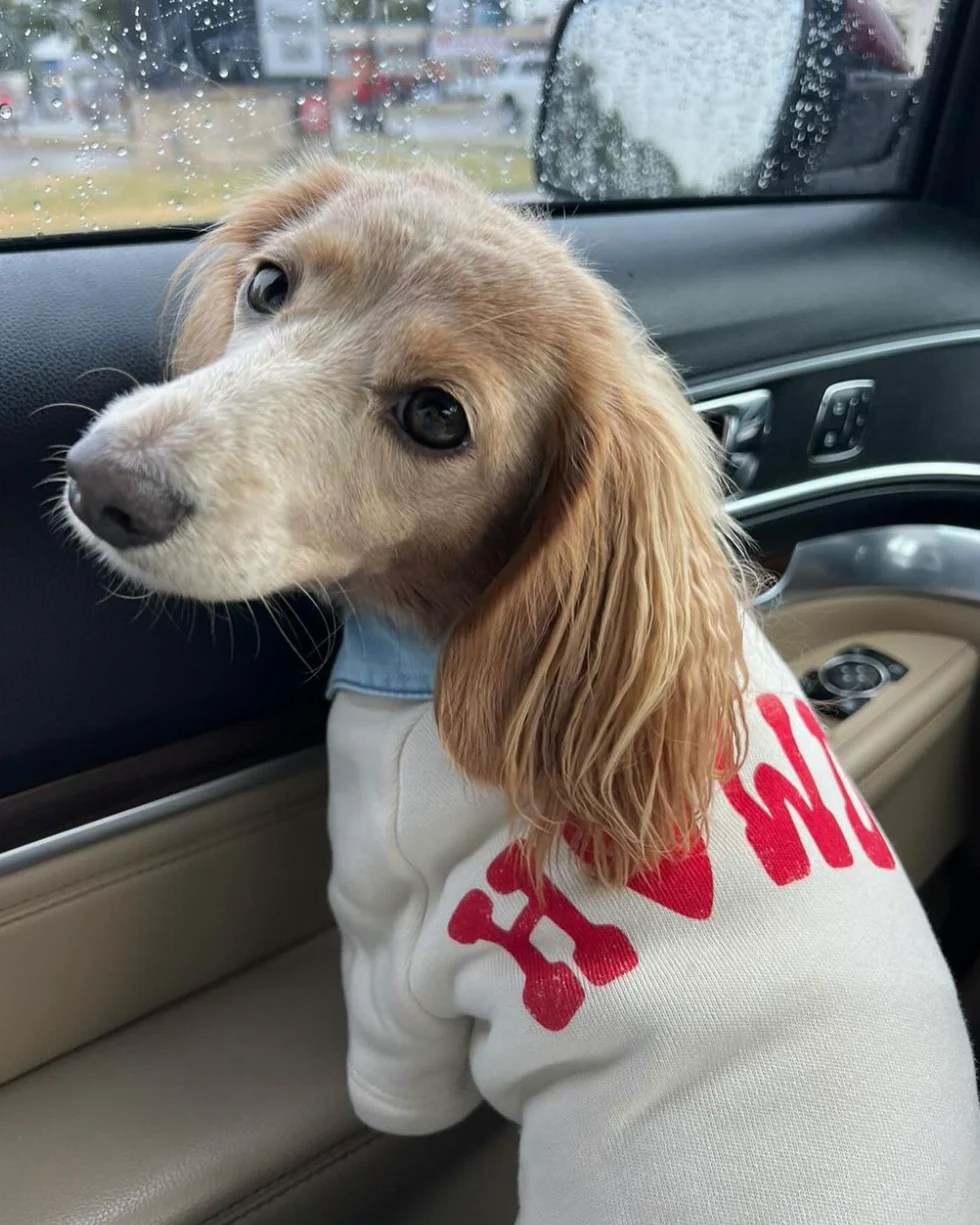 Howdy Pawtner Dog Sweatshirt - Image 8