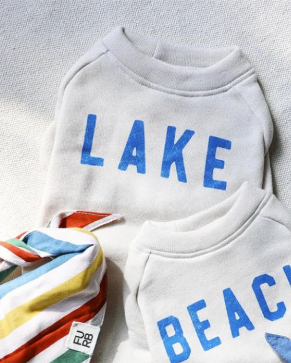 Lake Day Dog Sweatshirt - Image 2