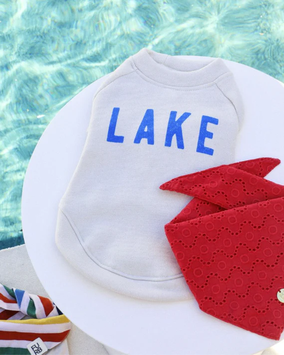 Lake Day Dog Sweatshirt - Image 5