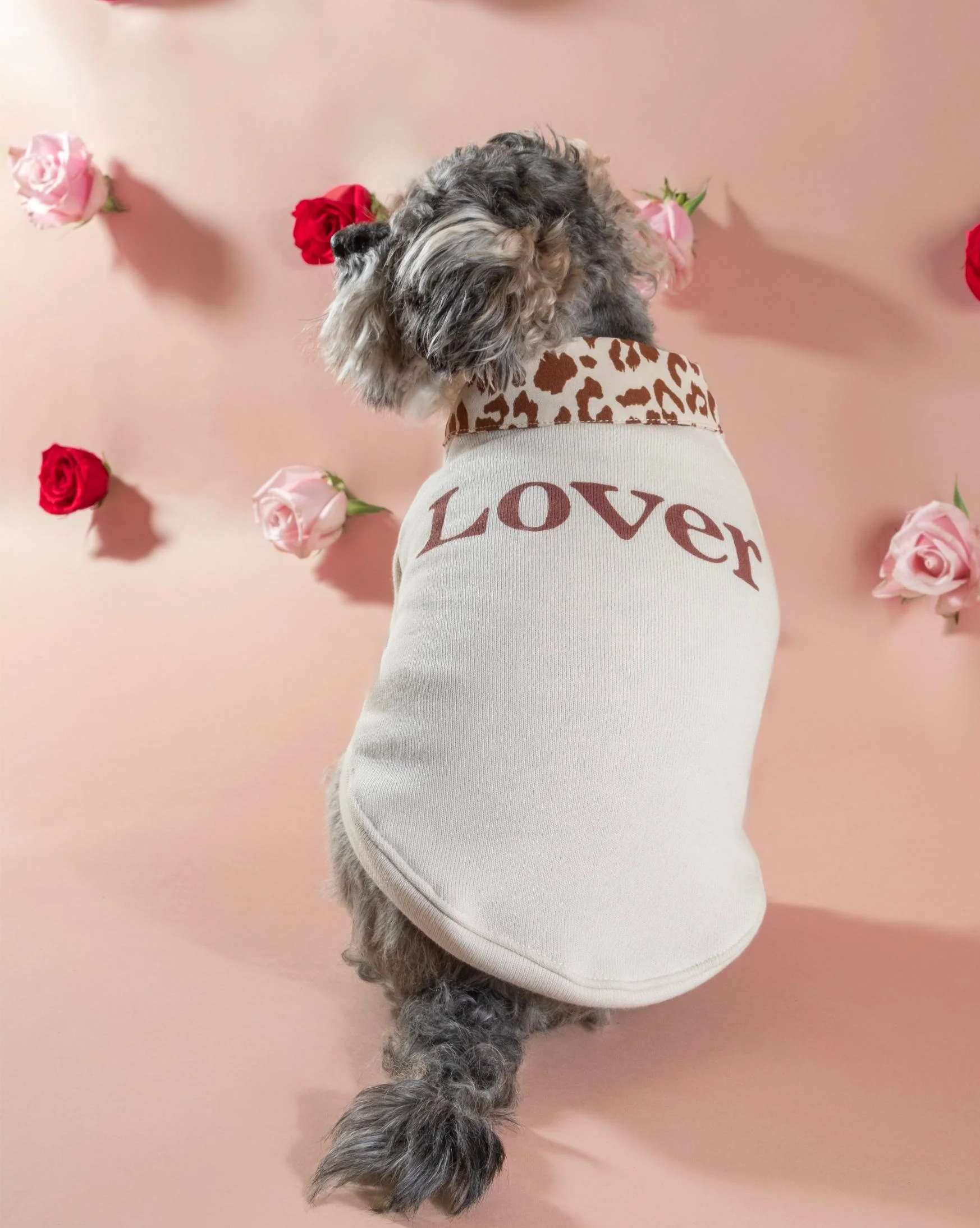 Lil' Lover Dog Sweatshirt - Image 8