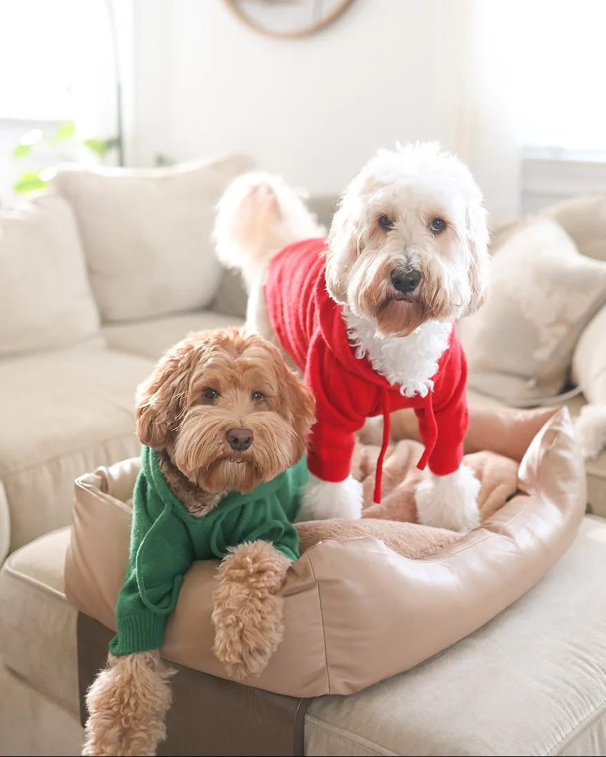 Venice Kelly Green Dog Hoodie - Image 15
