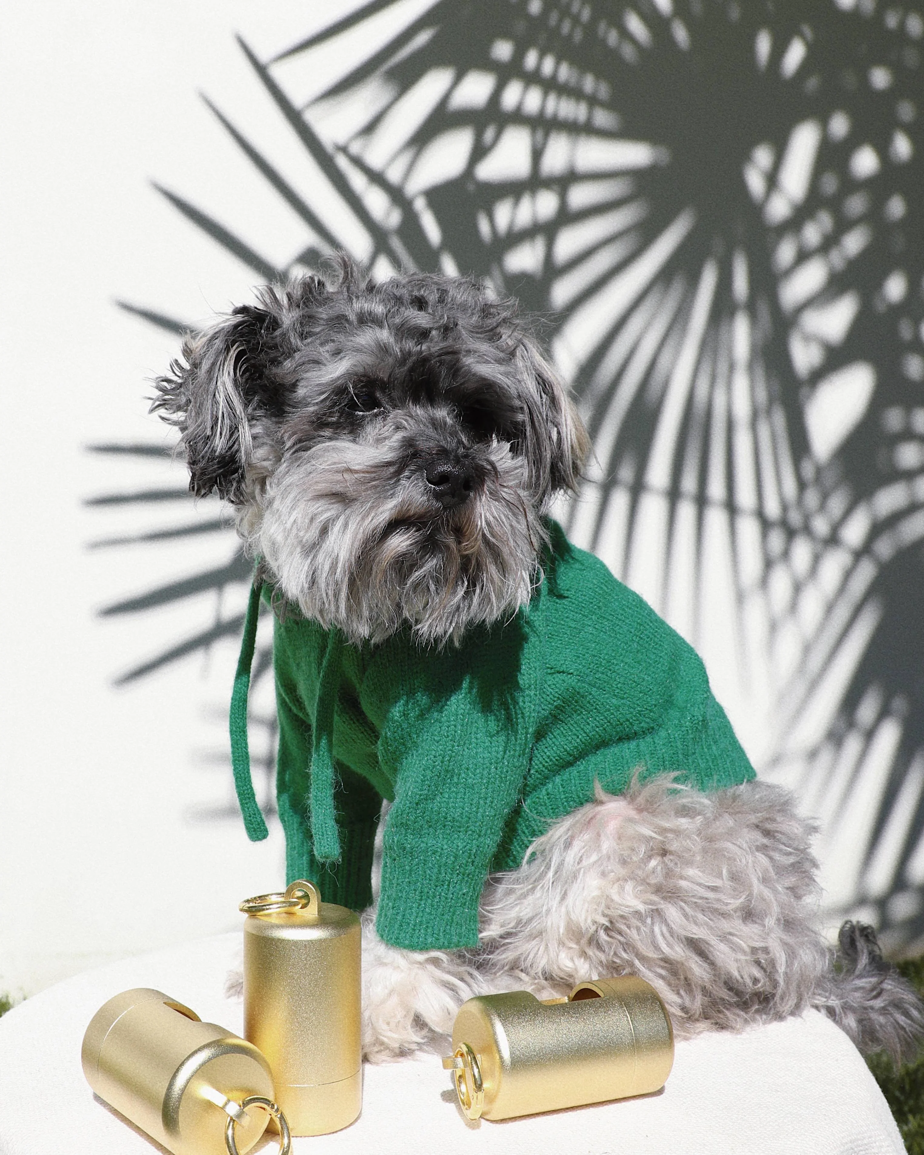 Venice Kelly Green Dog Hoodie - Image 8