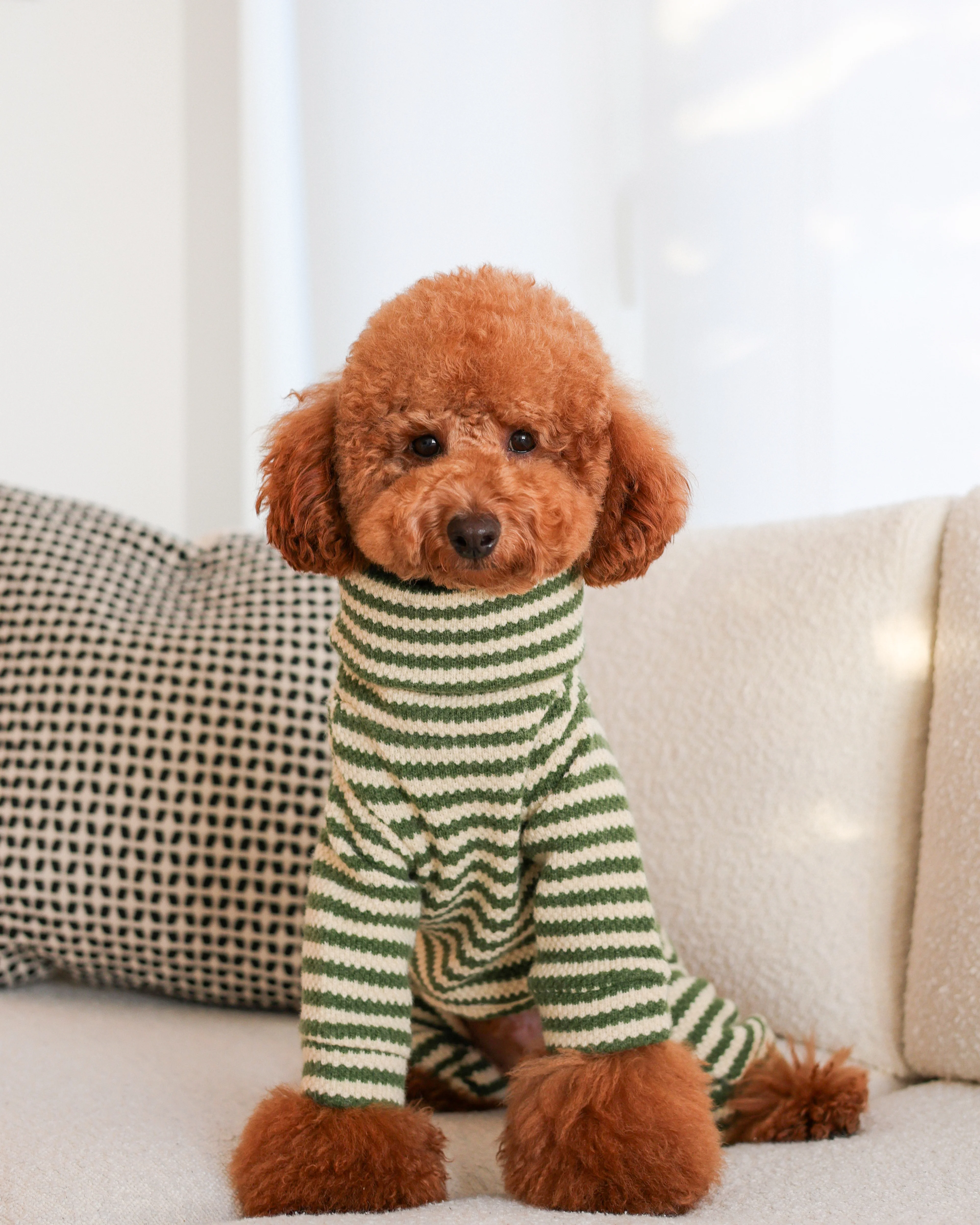 Charli Green + Ivory Dog Onesie - Image 12