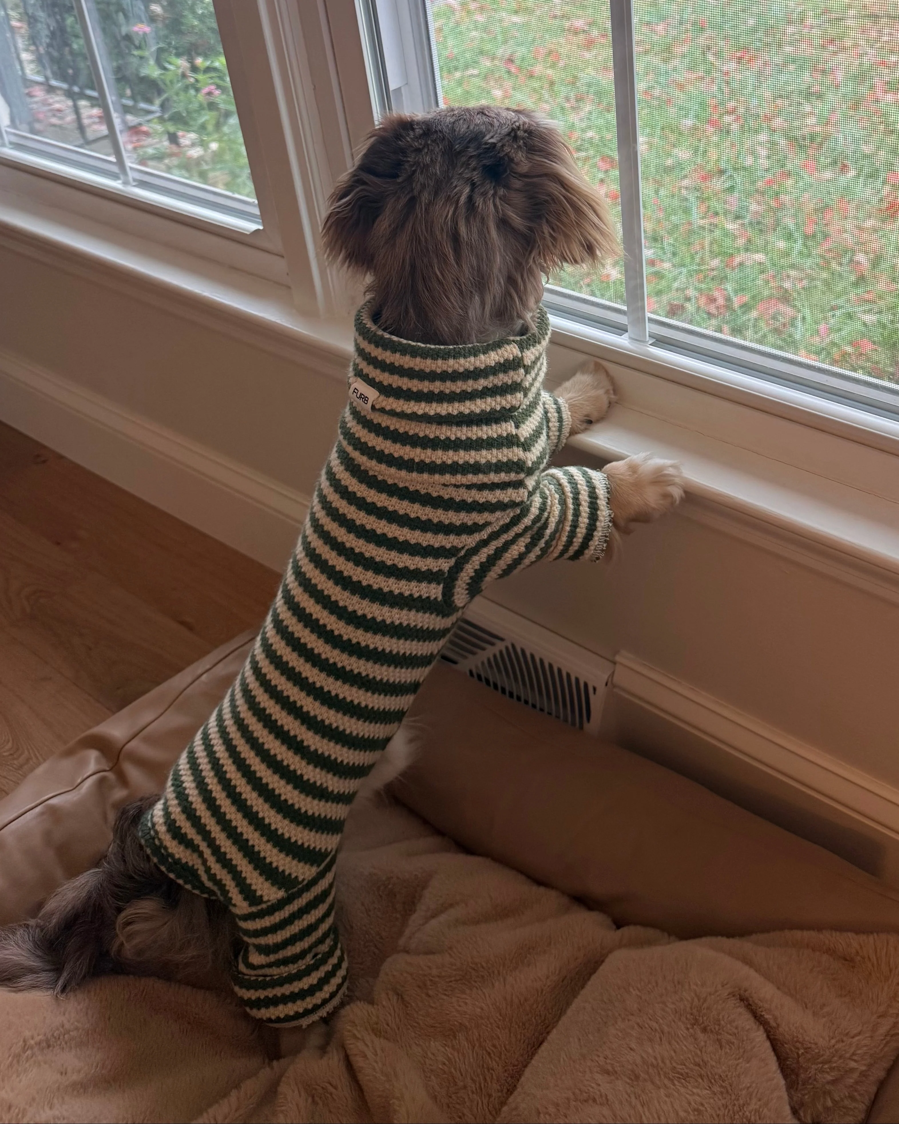 Charli Green + Ivory Dog Onesie - Image 13
