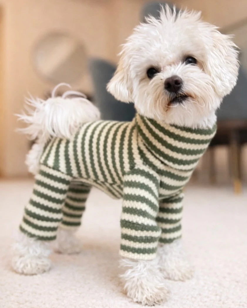 Charli Green + Ivory Dog Onesie - Image 14