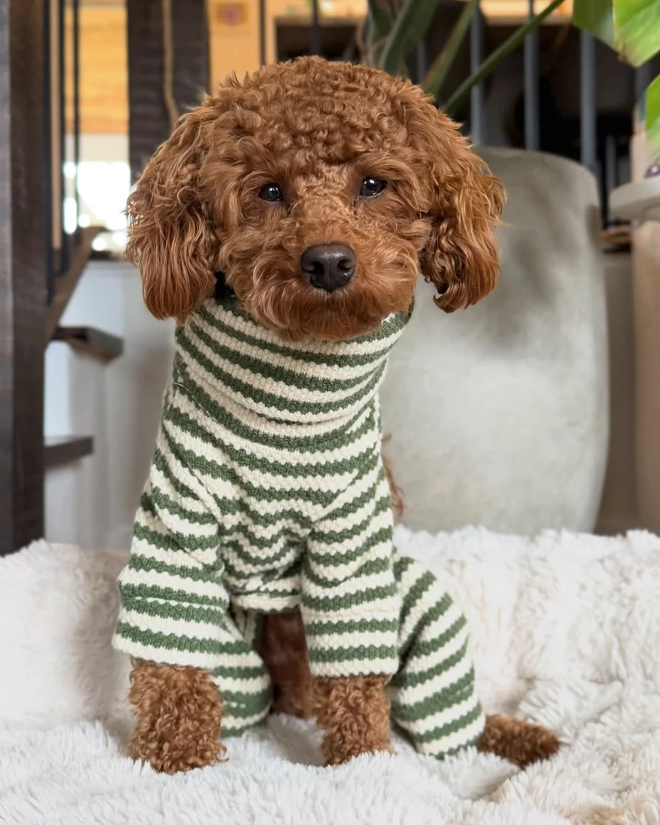 Charli Green + Ivory Dog Onesie - Image 15