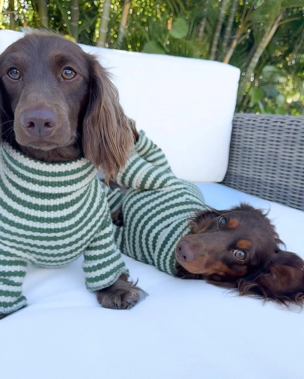 Charli Green + Ivory Dog Onesie - Image 4