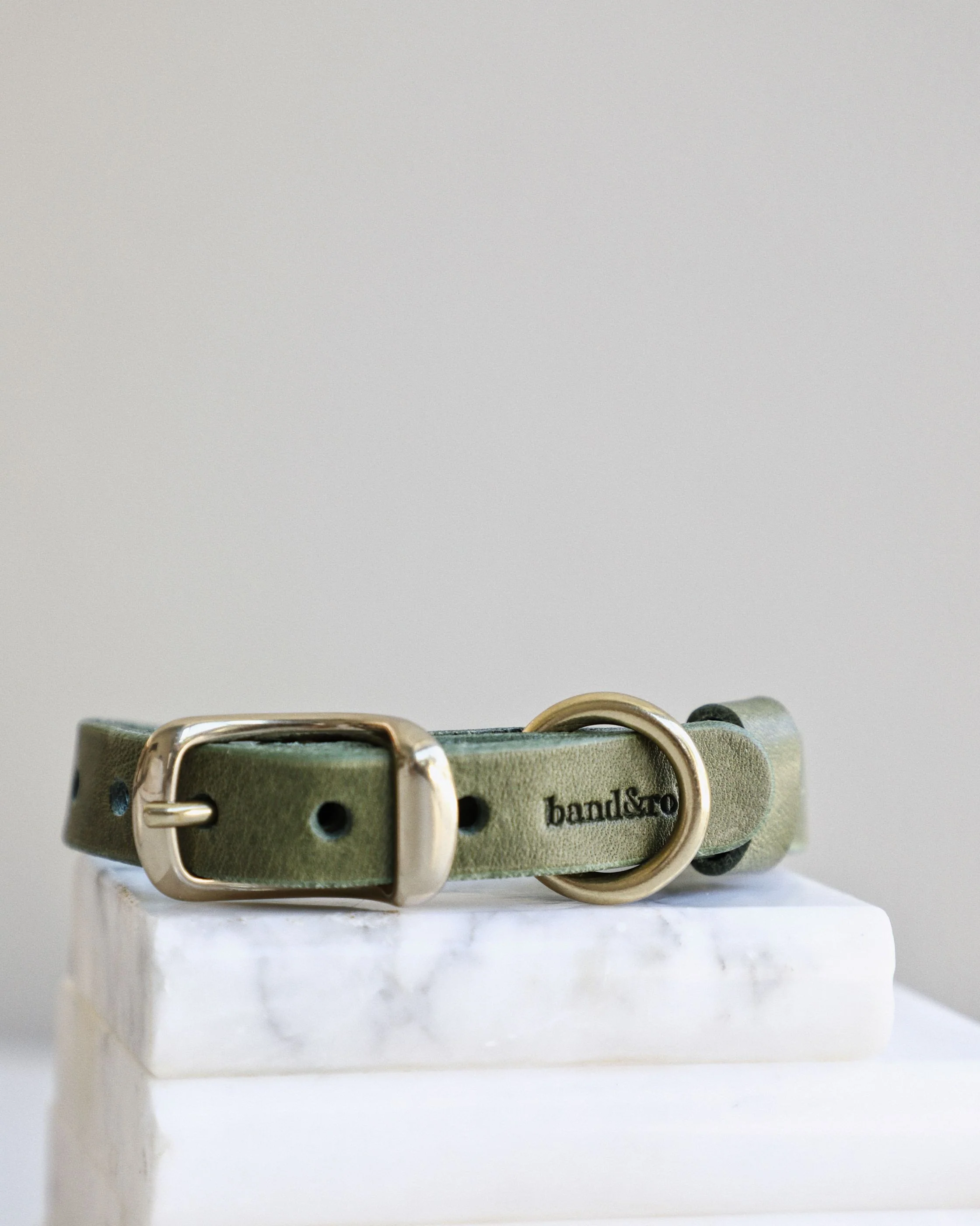 Band & Roll Leather Dog Collar in Moss