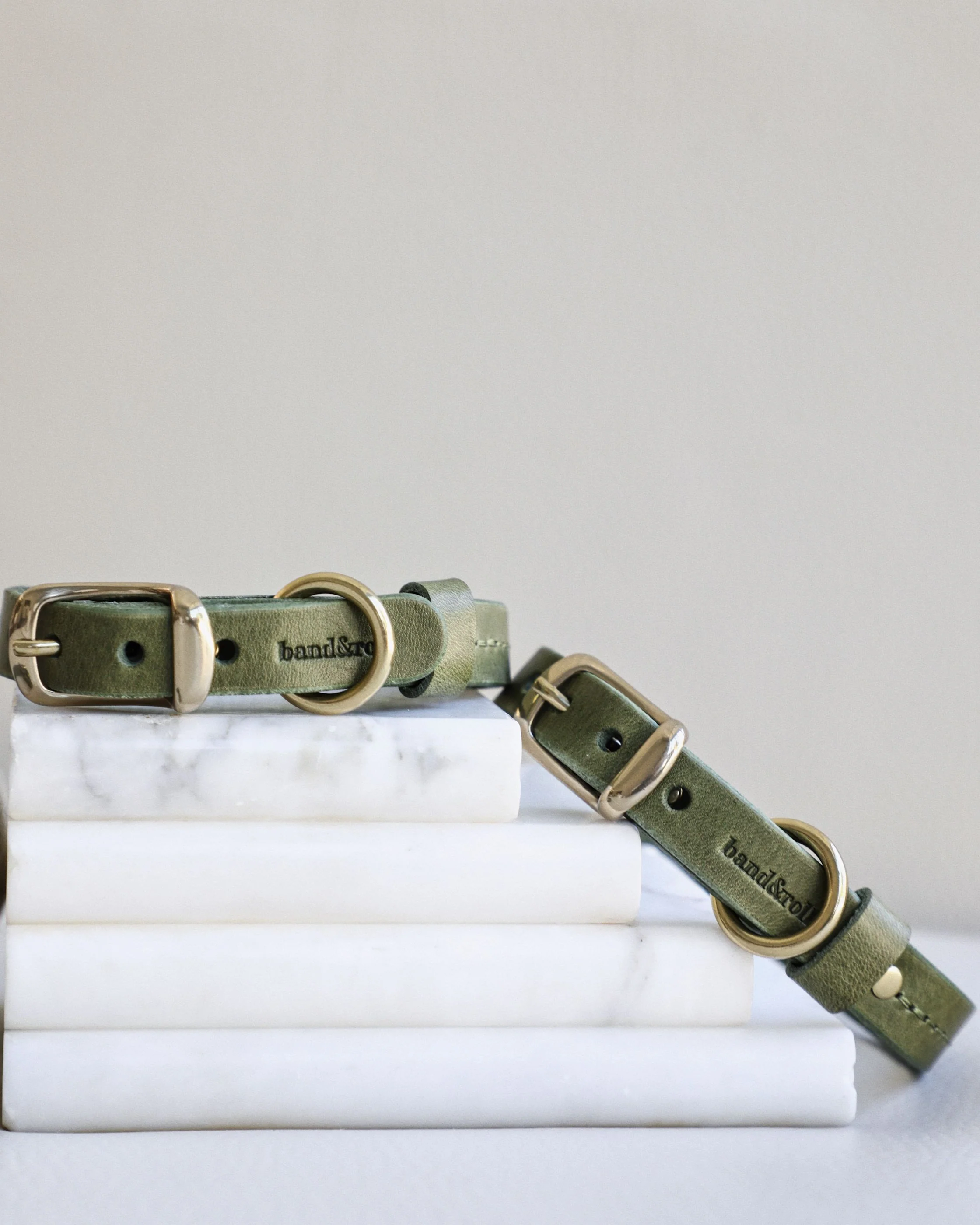 Band & Roll Leather Dog Collar in Moss - Image 3