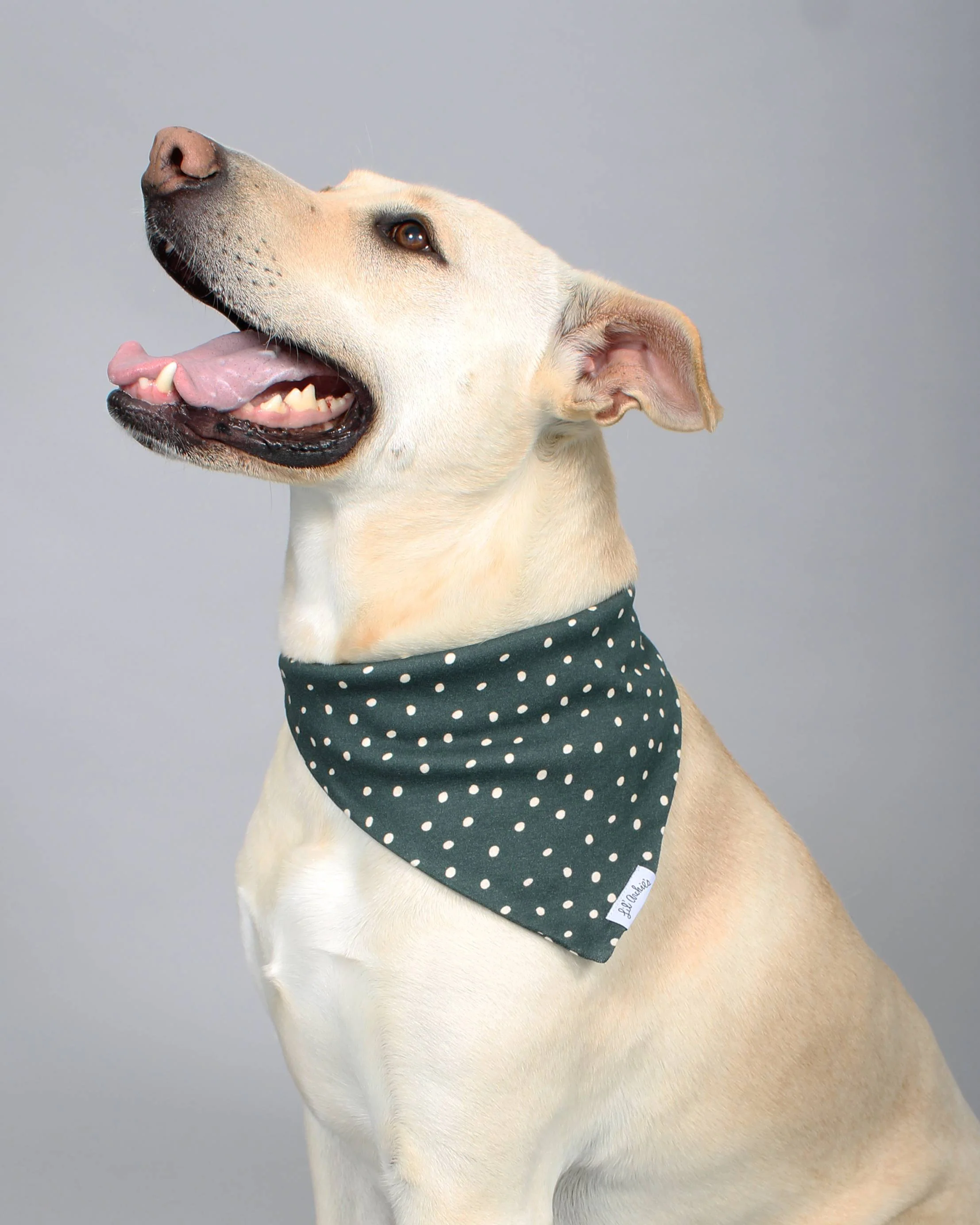 Spotted Pup Green Organic Cotton Bandana - Image 2