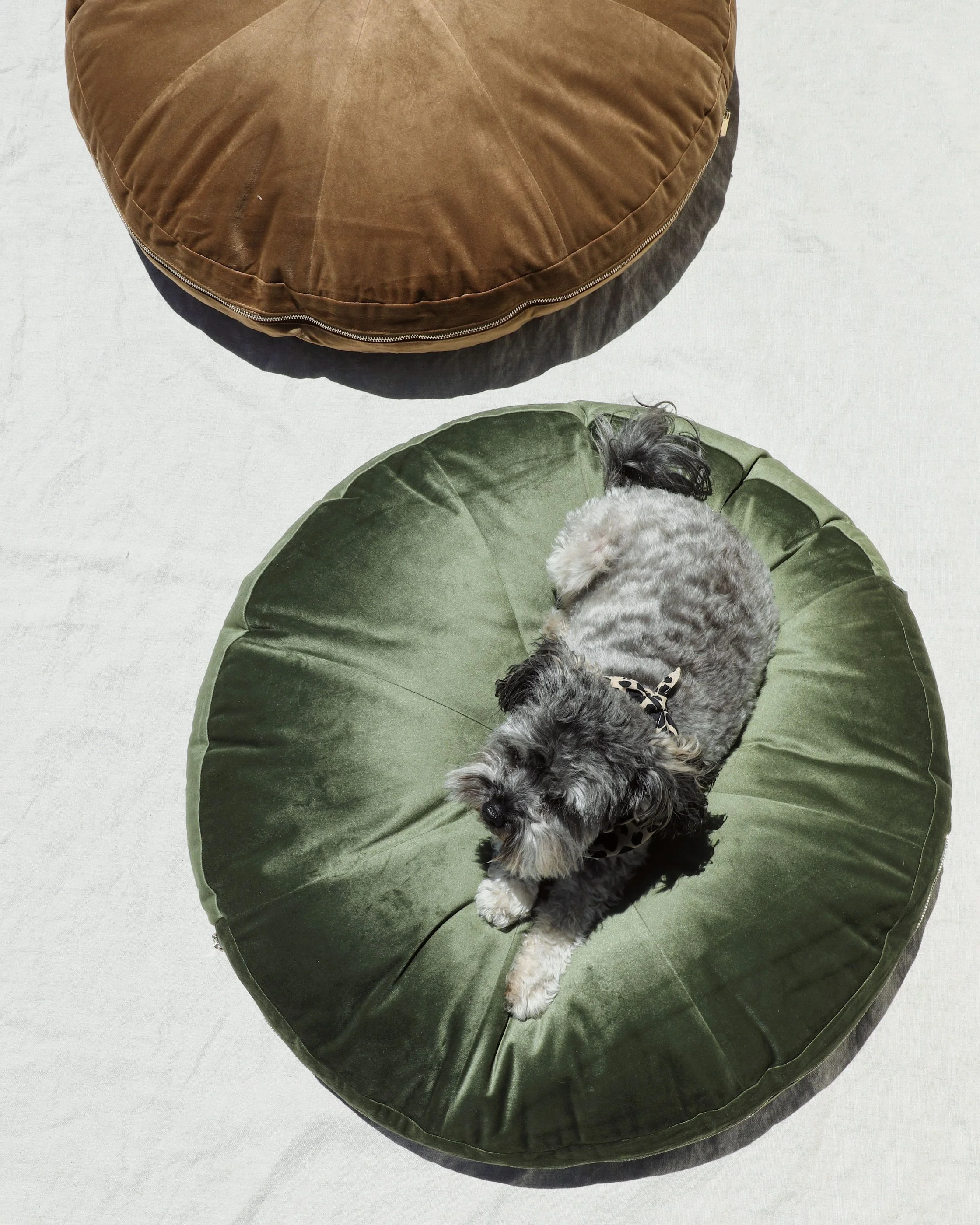 Laurel Moss Round Velvet Dog Bed - Image 5