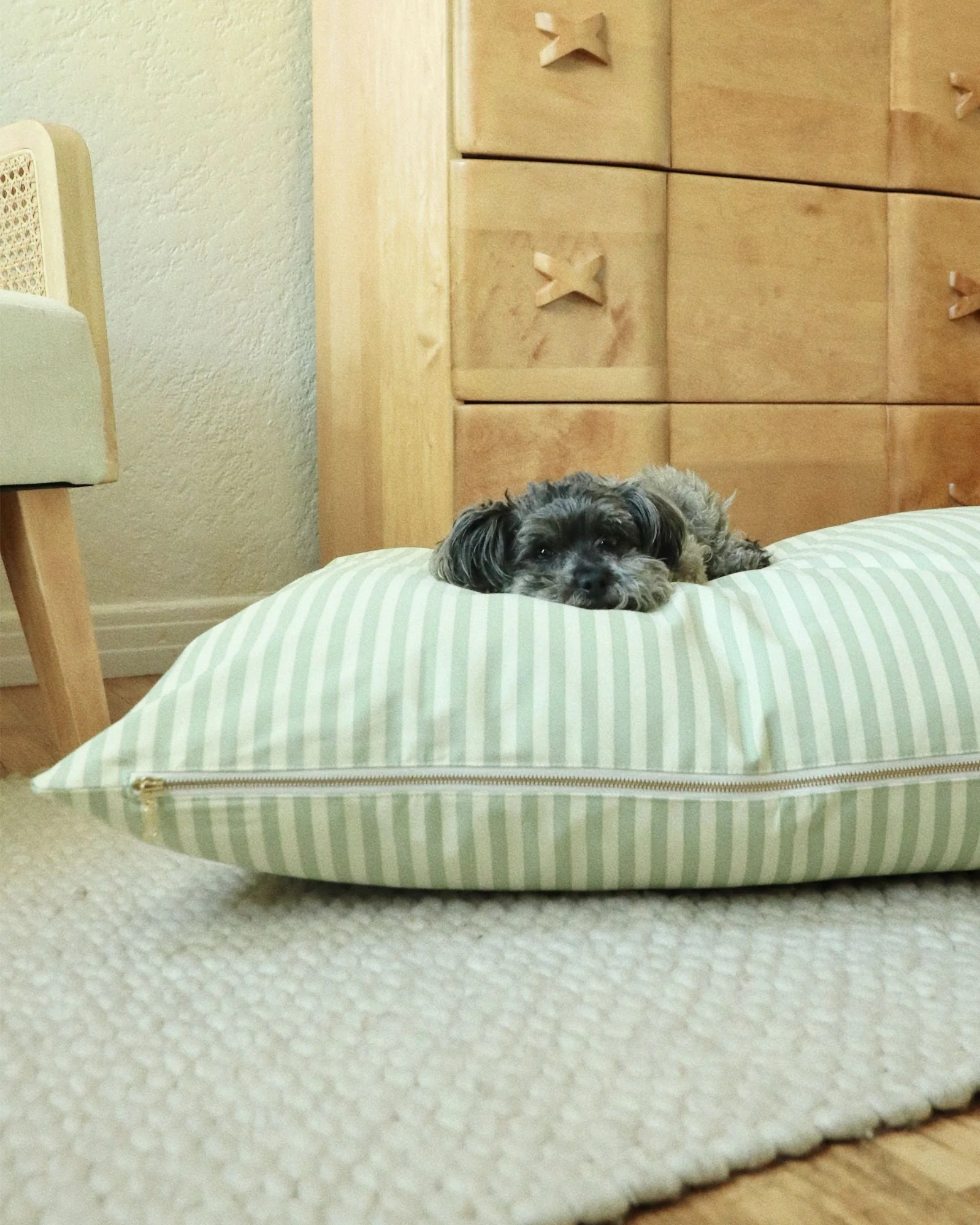 Capri Green Striped Dog Bed - Image 4