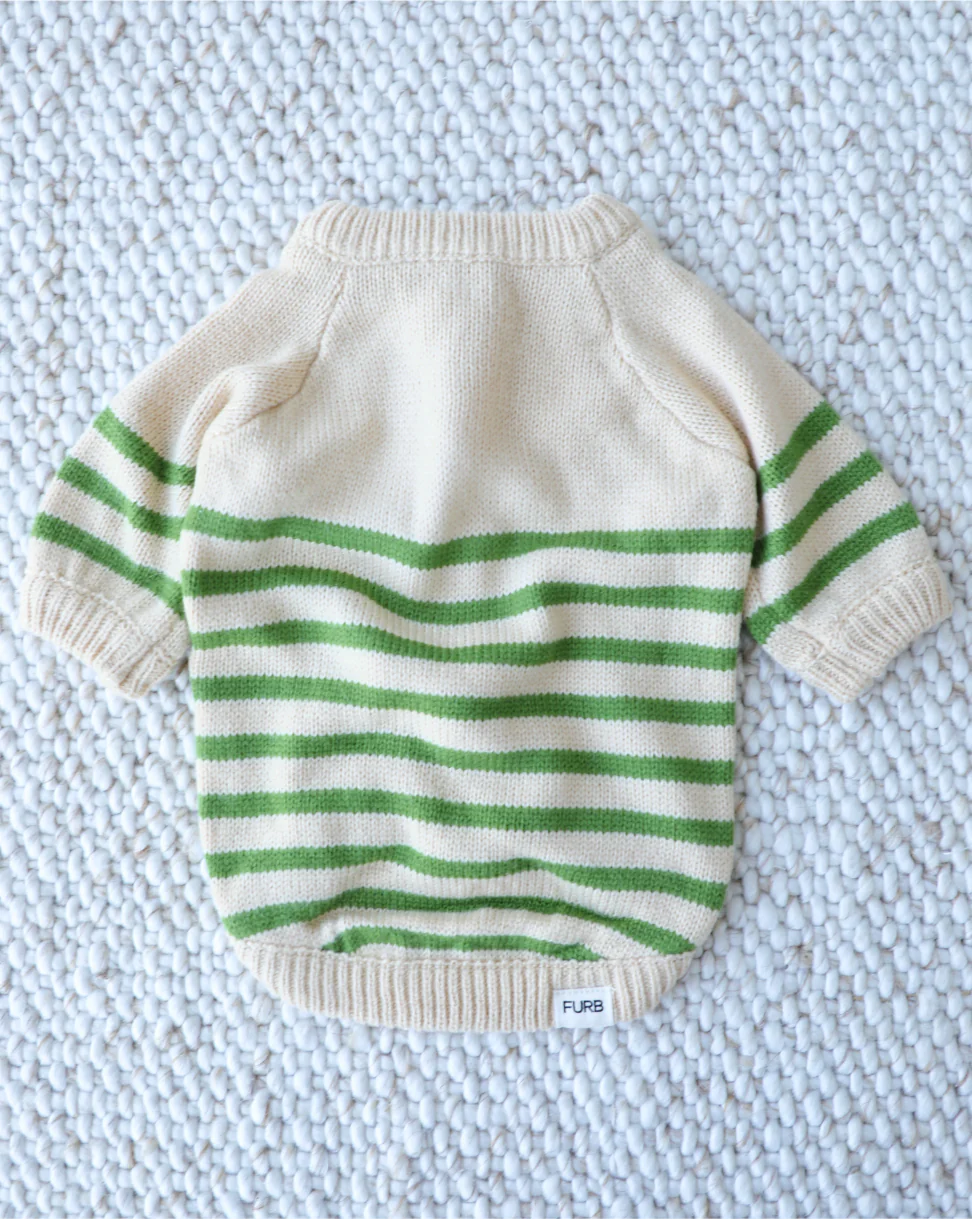 Little Sprout Green Striped Dog Sweater - Image 2