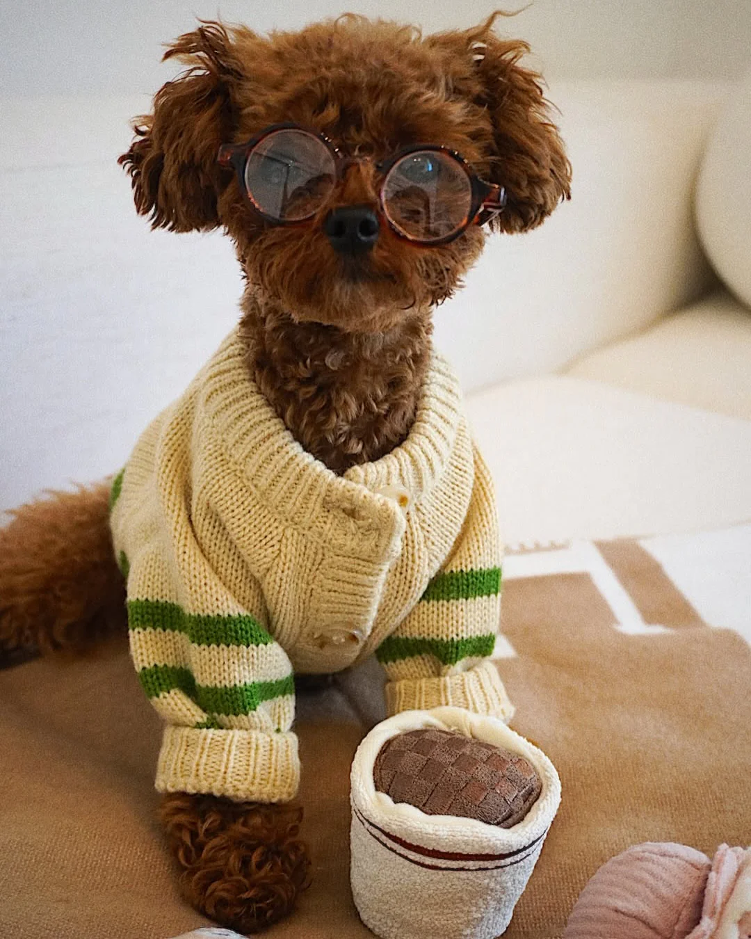 Little Sprout Green Striped Dog Sweater - Image 5