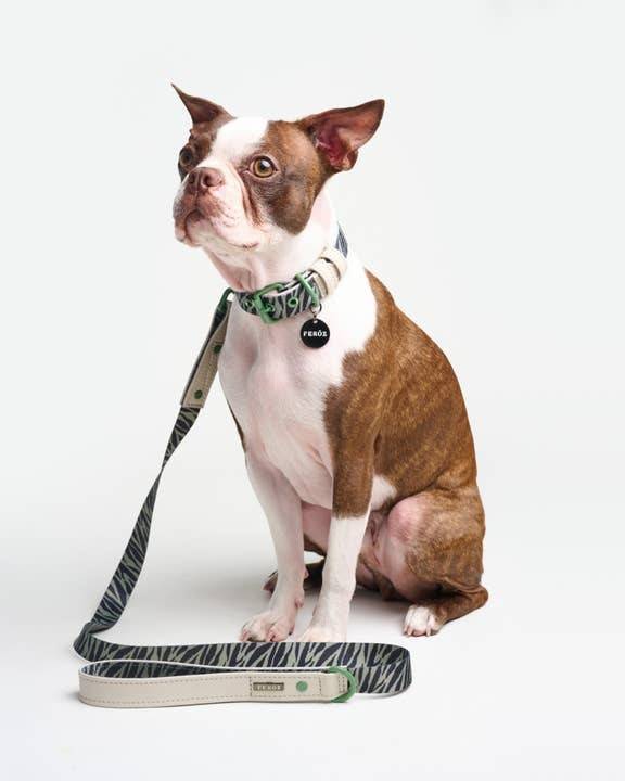 Fierce + Fab Green Zebra Dog Collar - Image 3