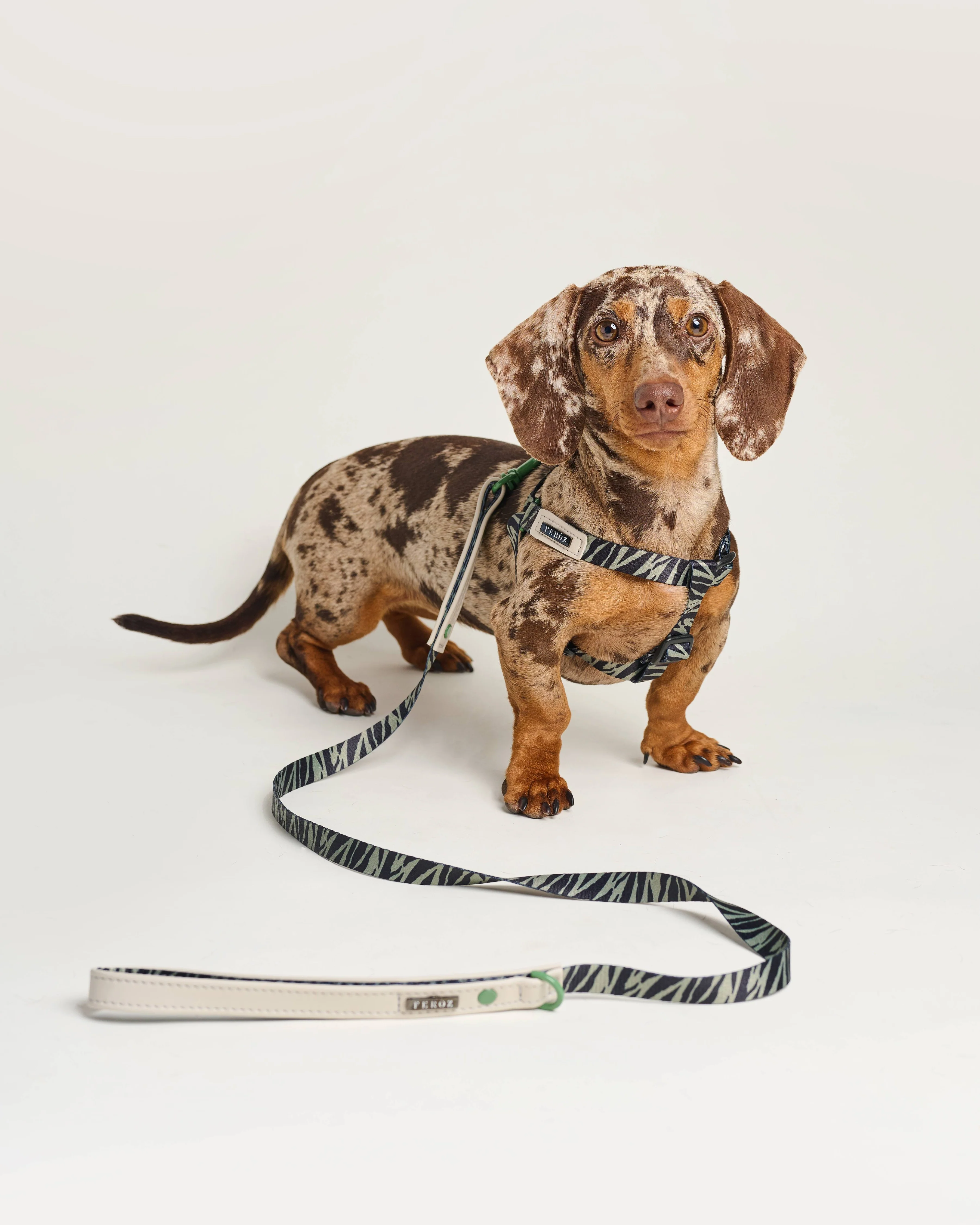 Fierce + Fab Green Zebra Dog Leash - Image 4