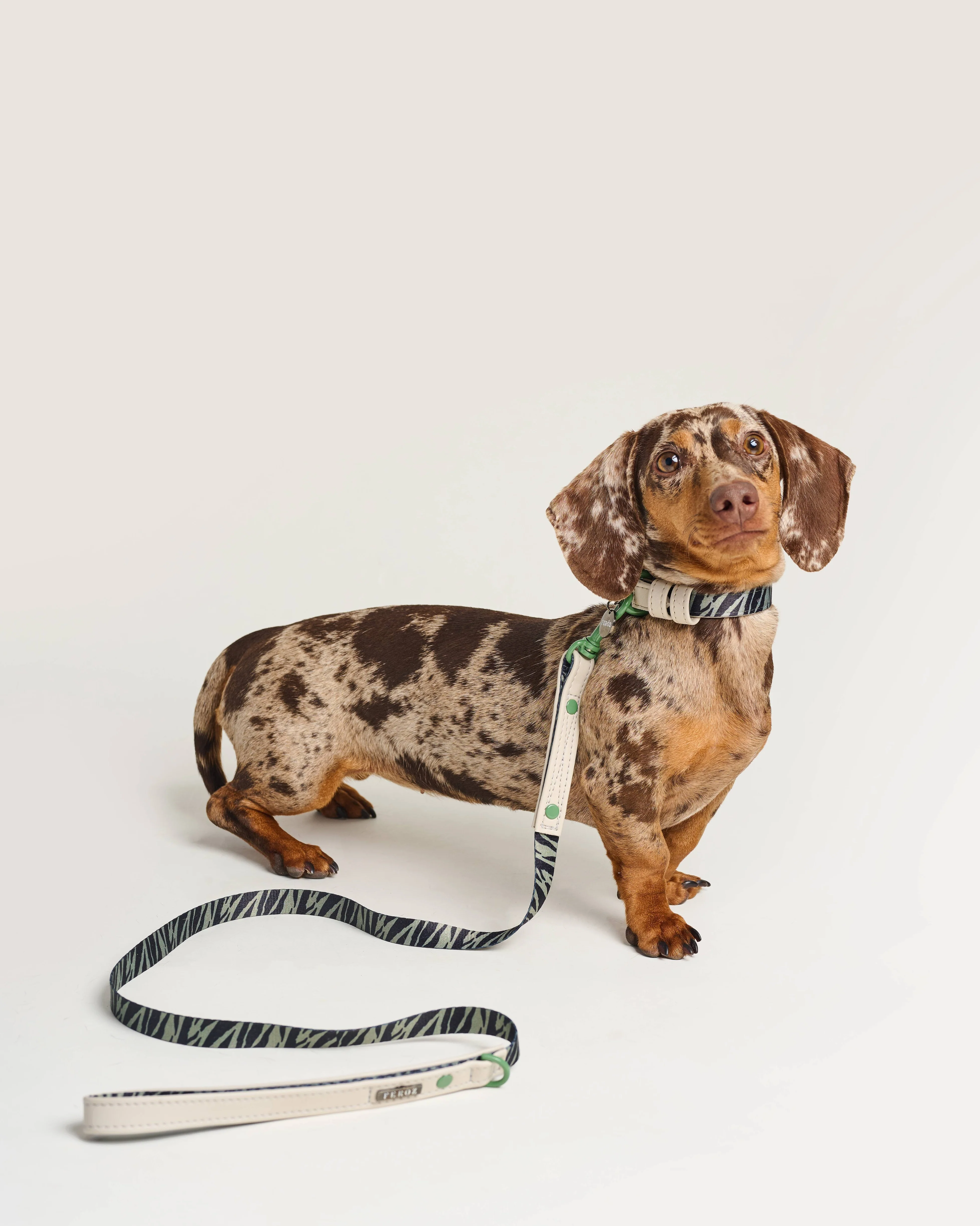 Fierce + Fab Green Zebra Dog Leash - Image 5