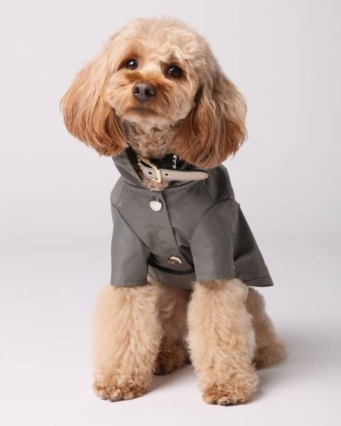 Puddle Jumpin' Gunmetal Rain Jacket - Image 2