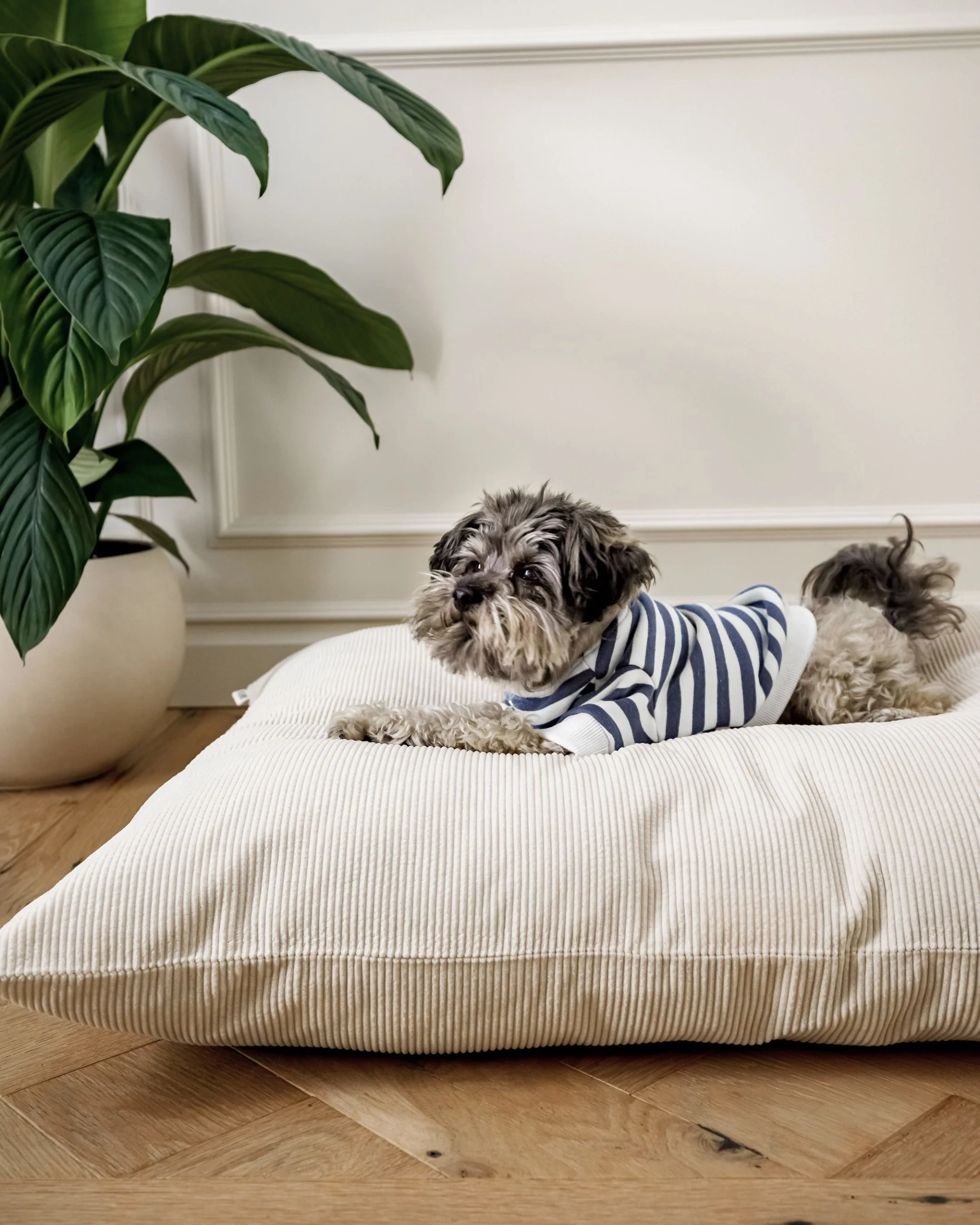 Camden Charcoal Striped Dog Sweatshirt - Image 7