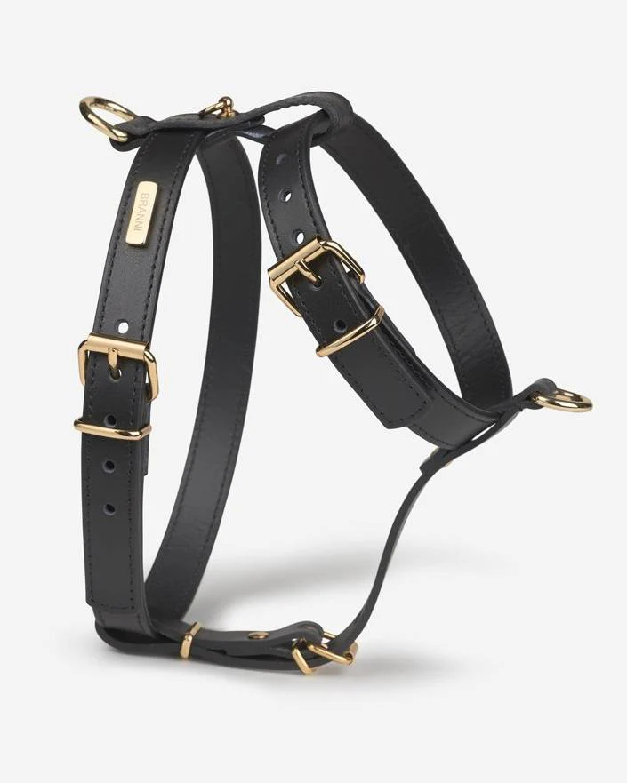 Palermo Harness Black Leather Multi-Position Walk Kit - Image 4