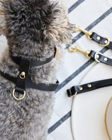 Palermo Harness Black Leather Multi-Position Walk Kit - Image 6