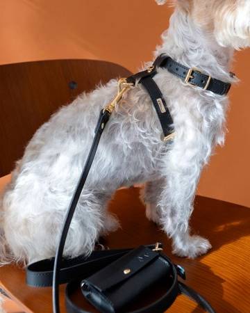 Palermo Harness Black Leather Multi-Position Walk Kit - Image 7
