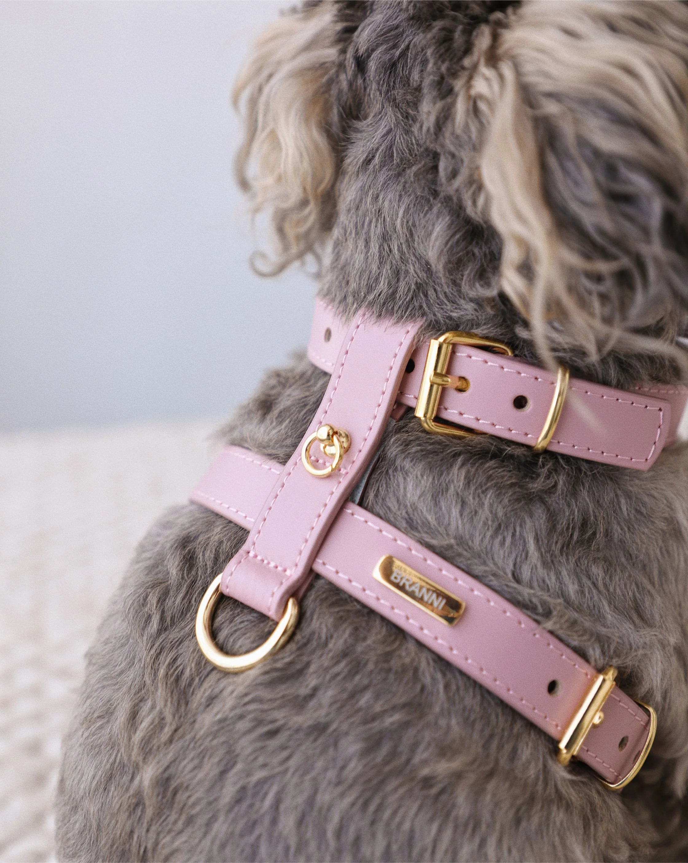 Palermo Harness Mauve Leather Walk Kit - Image 3