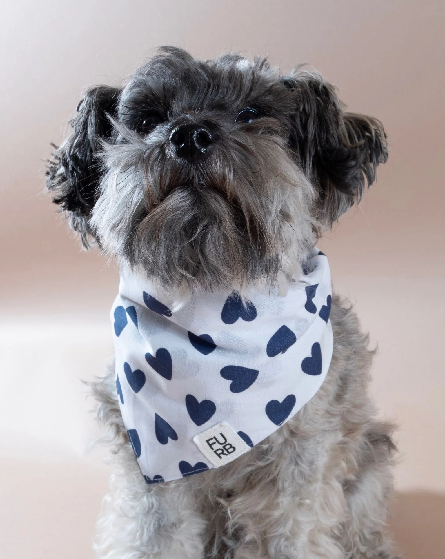 Cupid's Bow Blue Heart Print Bandana - Image 5