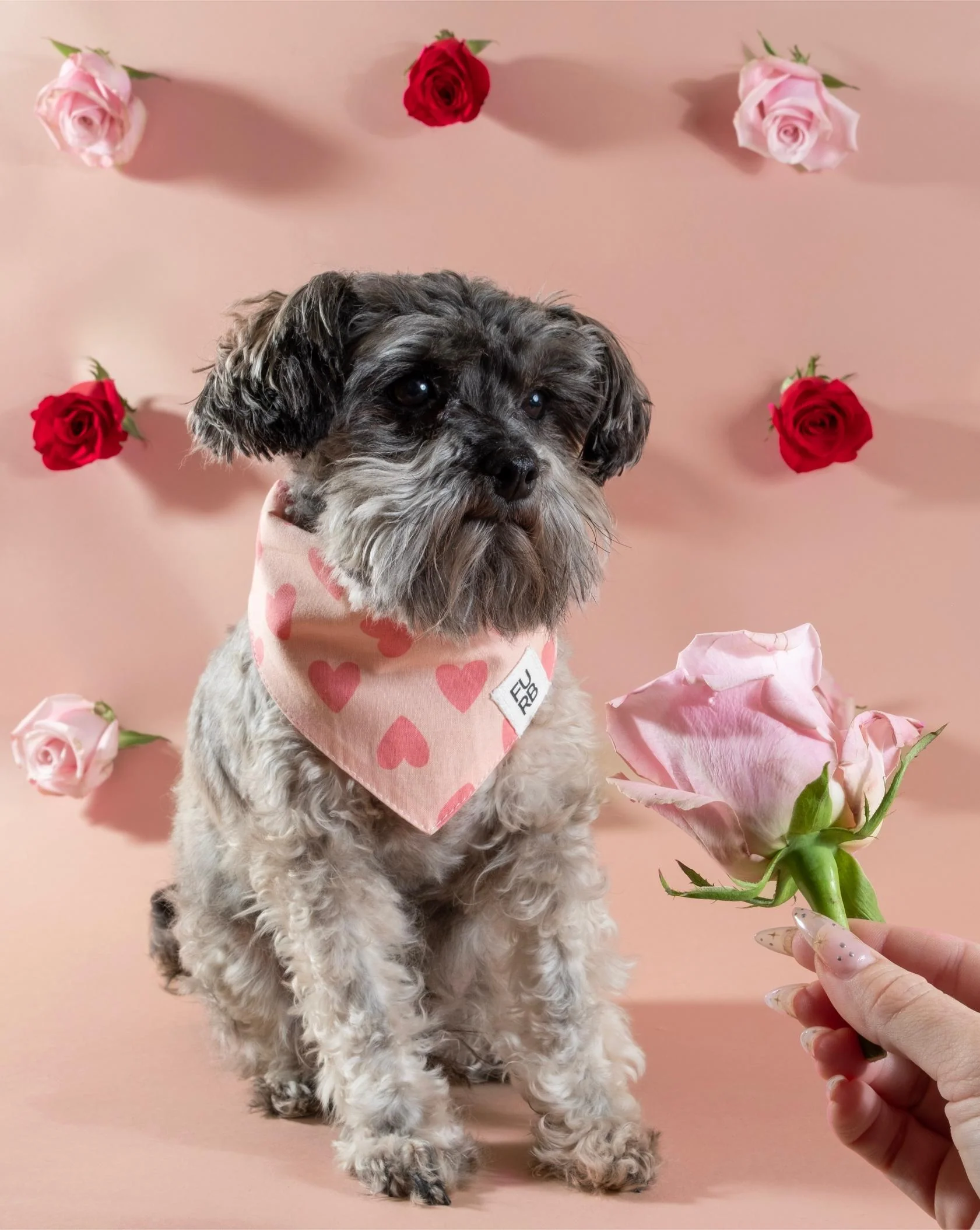 Cupid's Bow Pink Heart Print Bandana - Image 2
