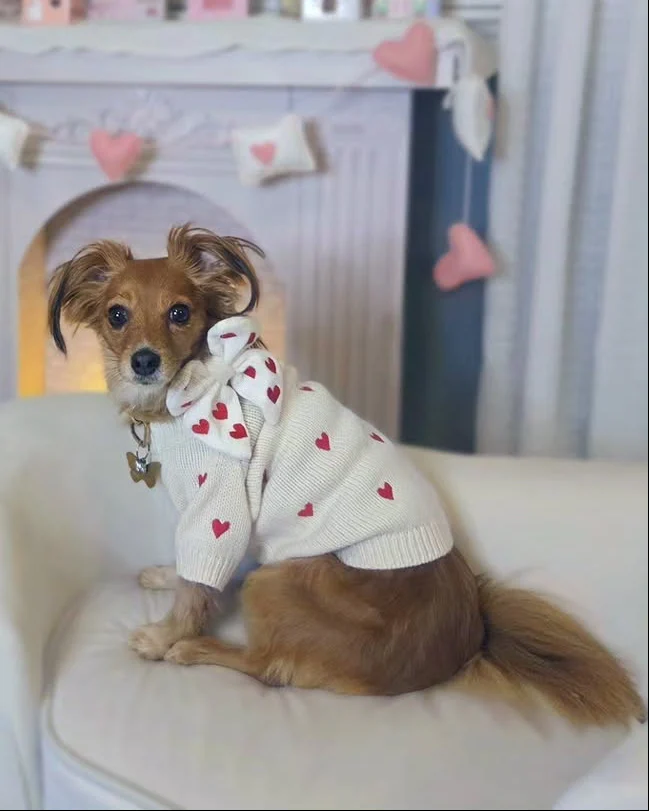 Fur-ever Yours Heart Dog Sweater - Image 6