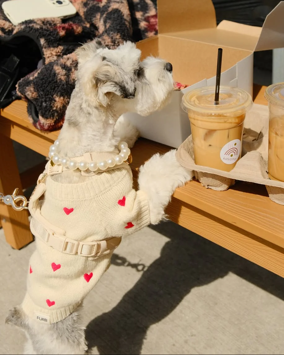 Fur-ever Yours Heart Dog Sweater - Image 7