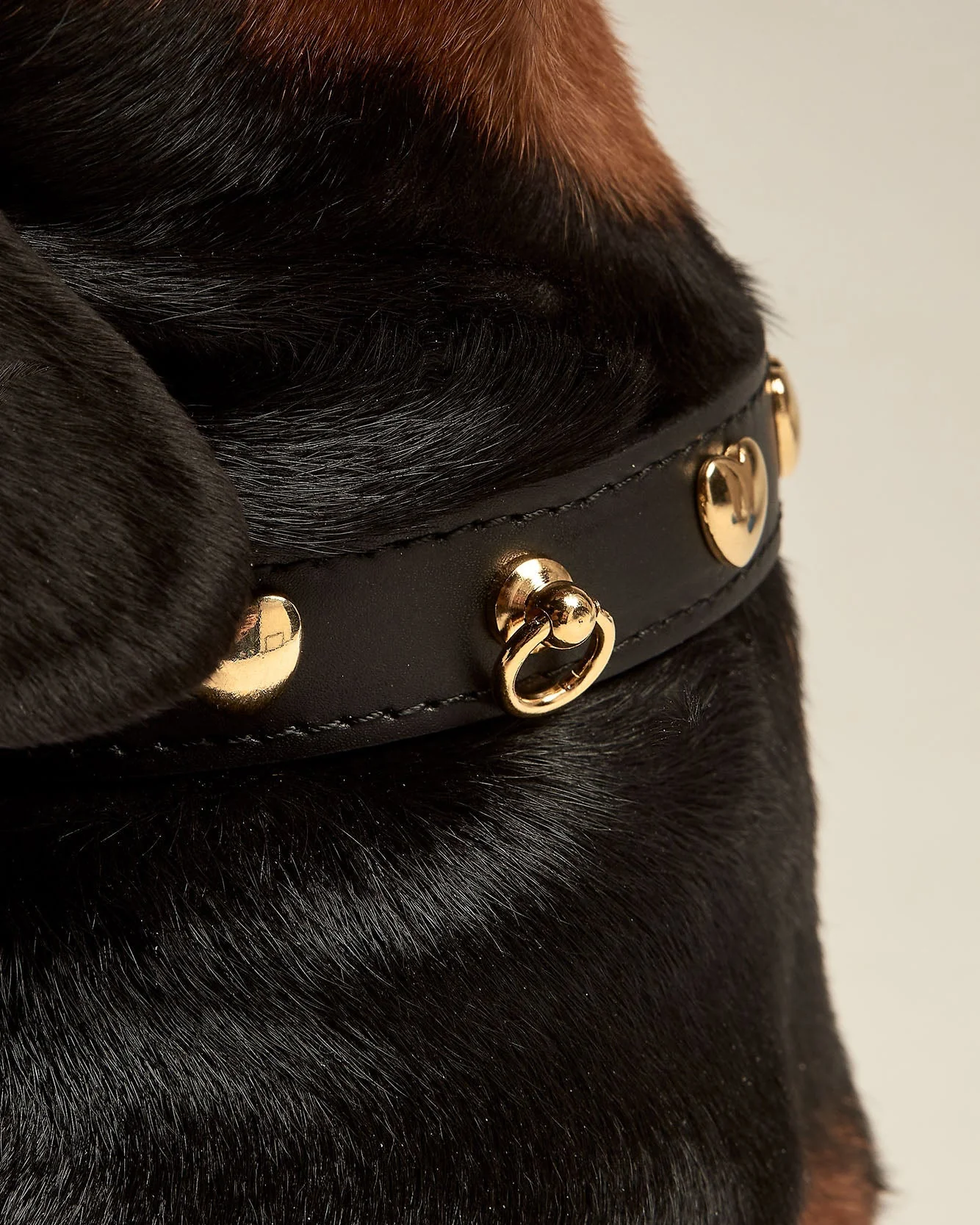 Nara Heart Studded Black Leather Collar - Image 3