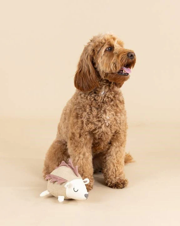 Forest Friend Hedgehog Dog Toy - Image 2