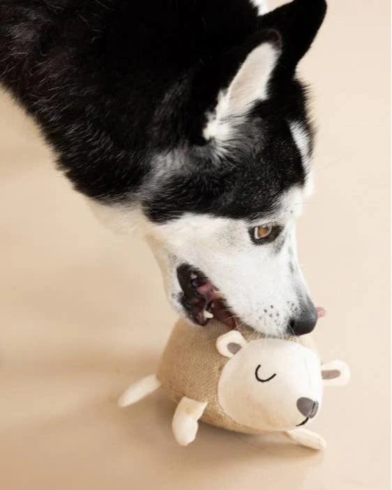 Forest Friend Hedgehog Dog Toy - Image 3