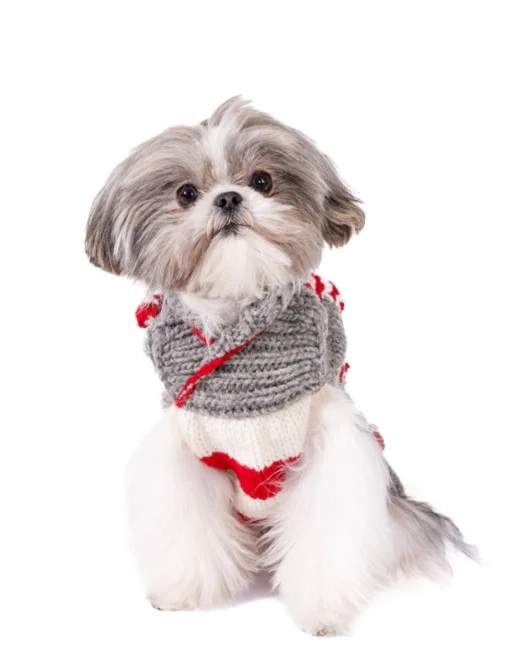 Candy Canine Knit Dog Sweater - Image 3