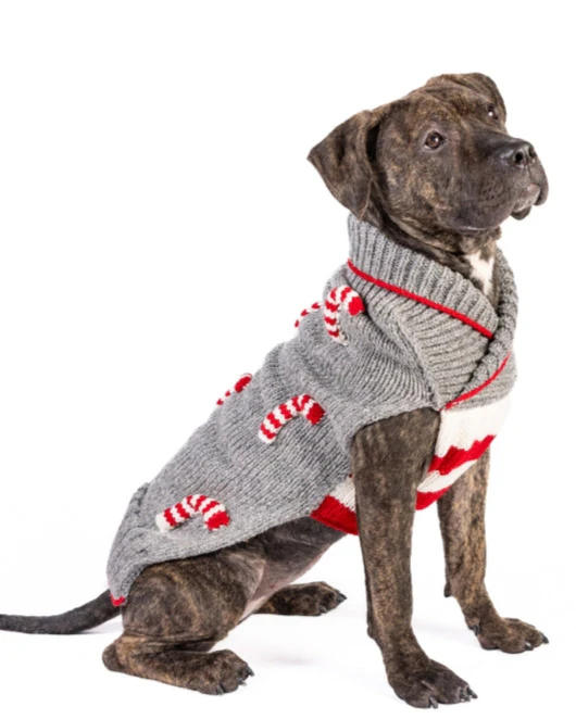 Candy Canine Knit Dog Sweater - Image 6