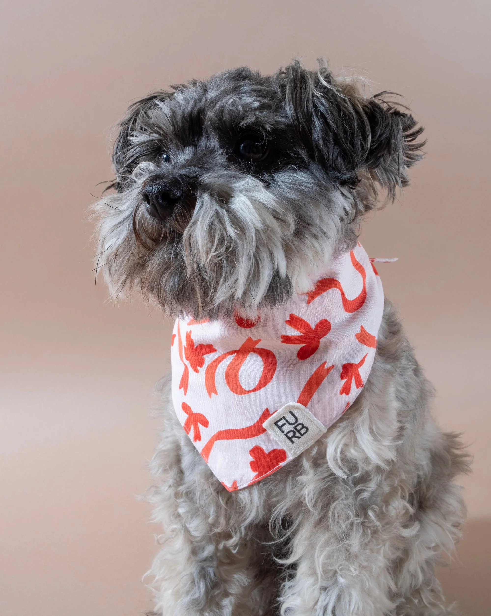 Perfect Present Bow Print Dog Bandana - Image 3