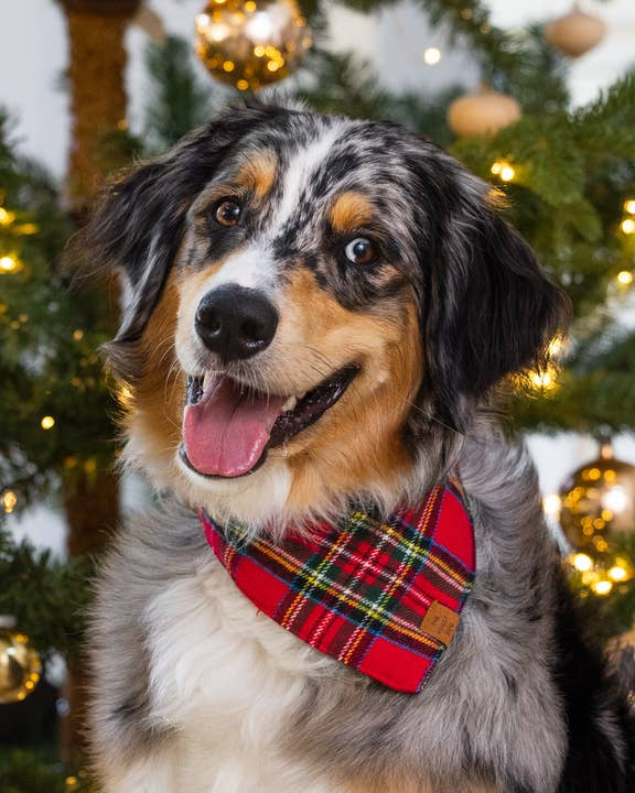Tartan Tidings Flannel Dog Bandana - Image 3