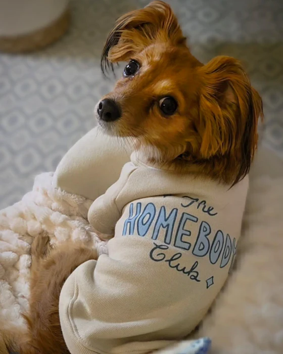 The Homebody Club Dog Sweatshirt - Image 2
