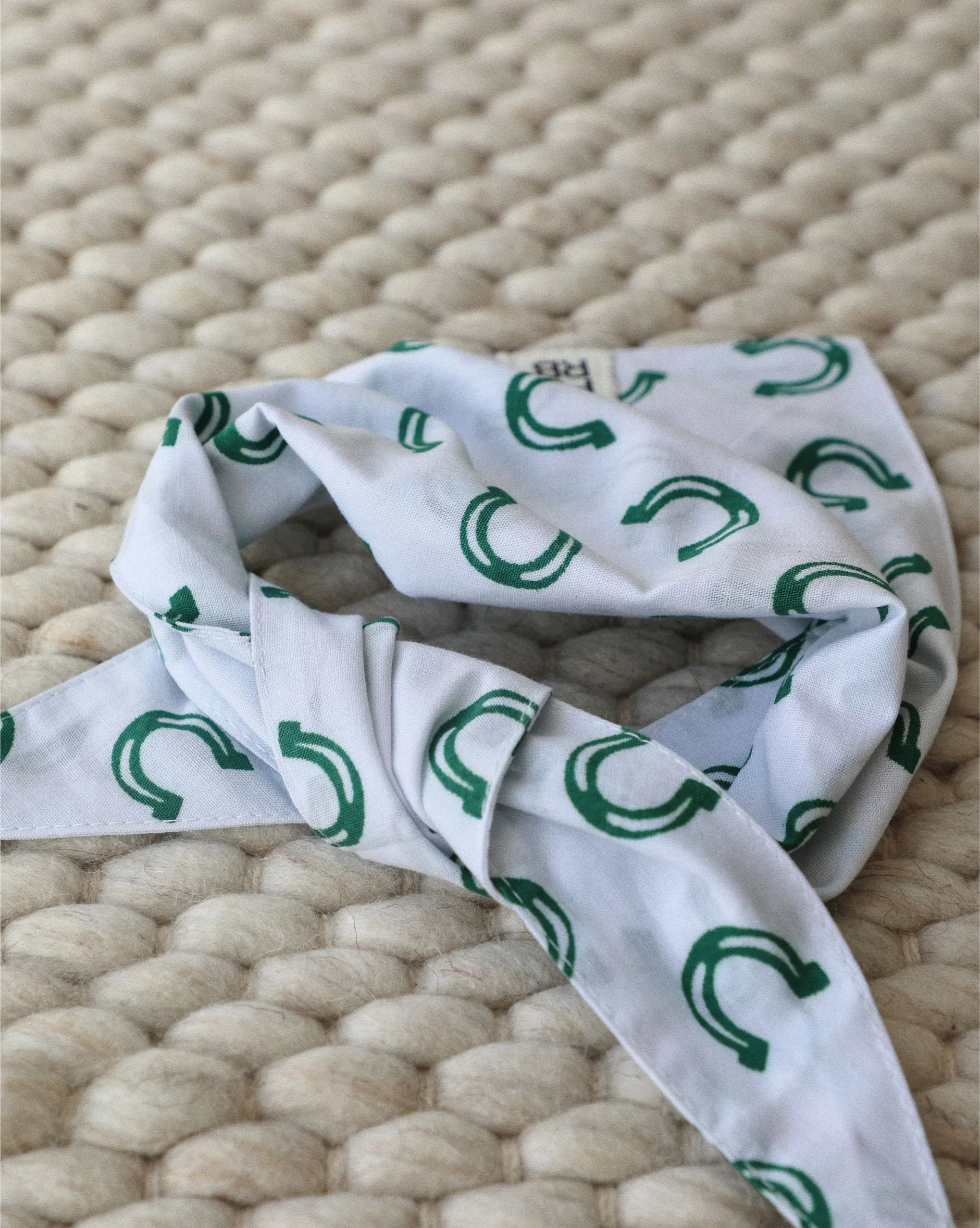 Lucky Pup Print Dog Bandana - Image 2